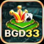 BGD333 Game