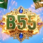 B55 Game